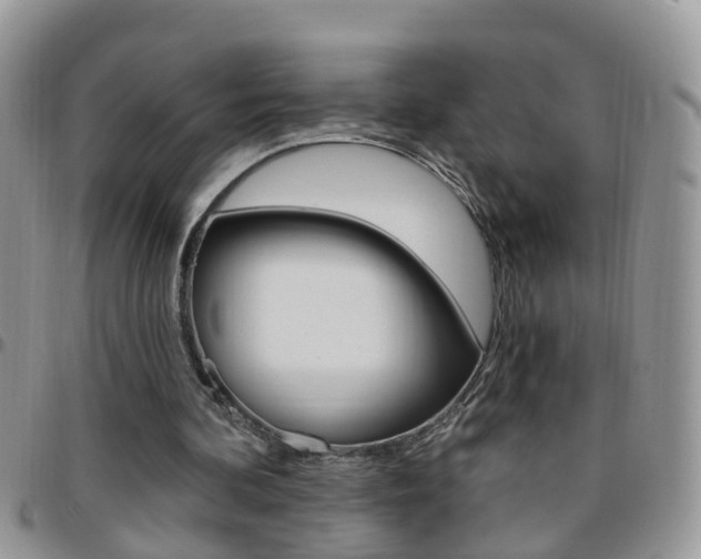 X0000096190292200801181015