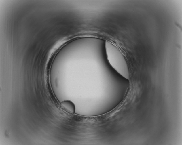 X0000096190294200801181015