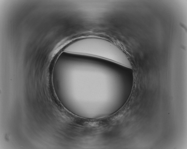 X0000096190295200801181015