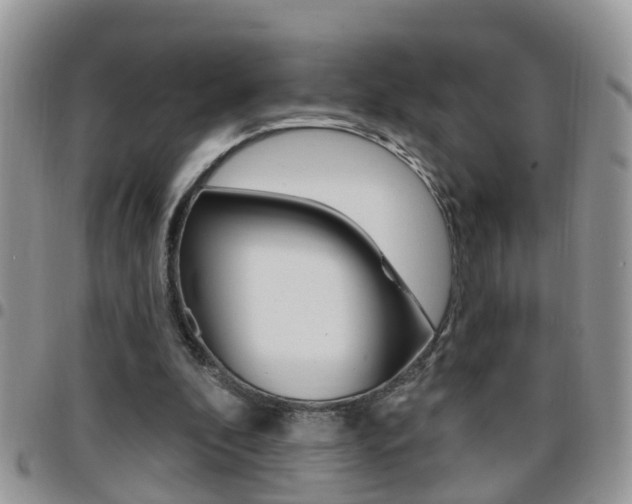 X0000096190296200801181015