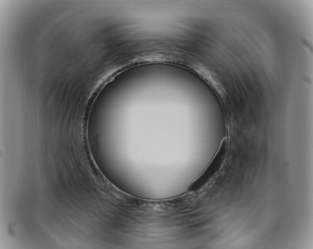 X0000096190297200801181014