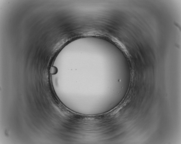 X0000096190298200801181014