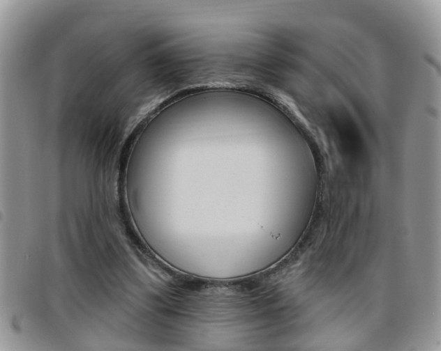 X0000096190299200801181014