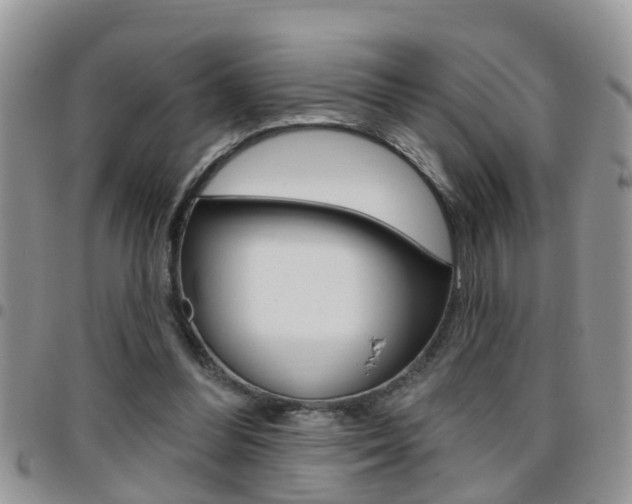 X0000096190300200801181014