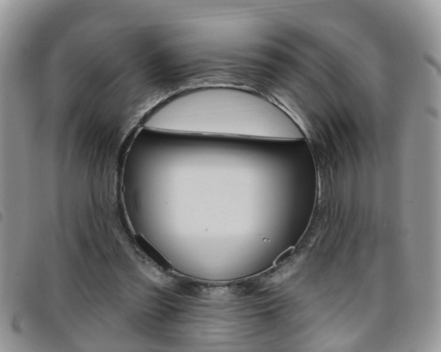 X0000096190301200801181014