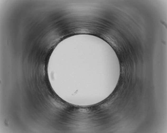 X0000096190302200801181014