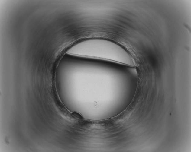 X0000096190303200801181014