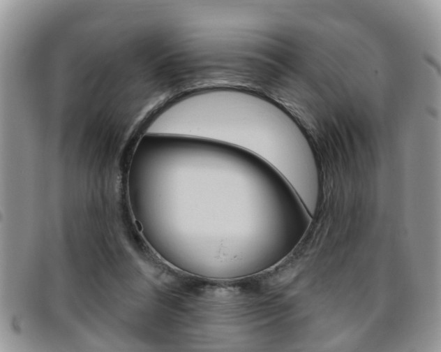 X0000096190304200801181014