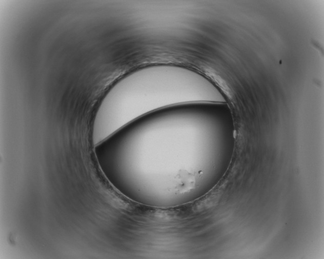 X0000096190305200801181014