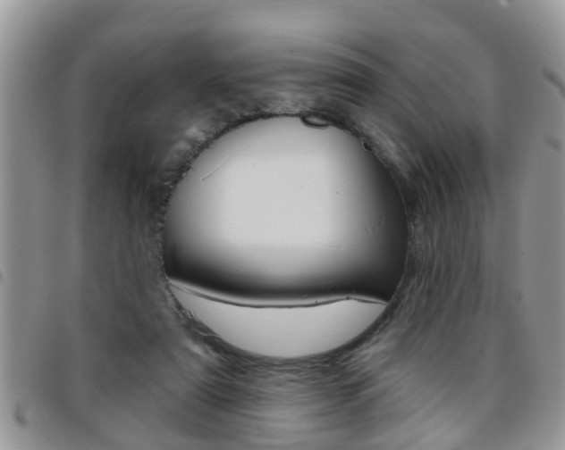 X0000096190307200801181014