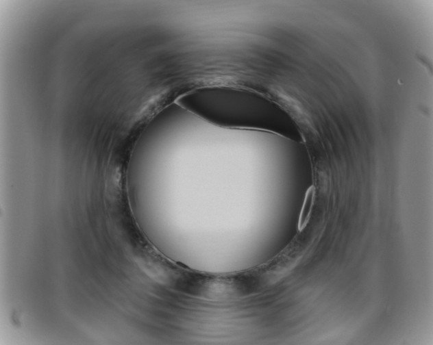 X0000096190308200801181014