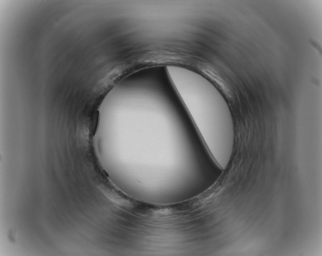 X0000096190309200801181014