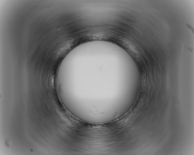 X0000096190310200801181014