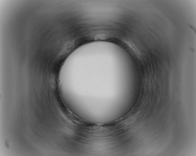X0000096190311200801181014