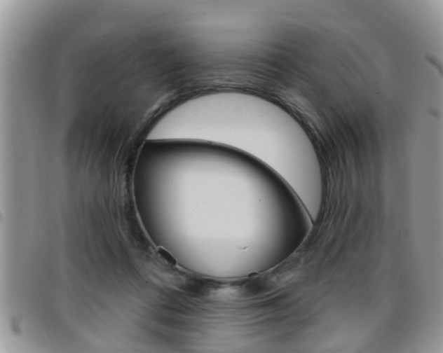 X0000096190312200801181014