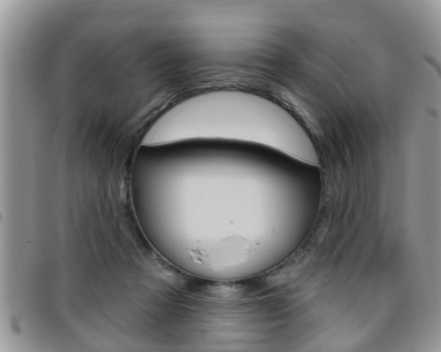 X0000096190313200801181014