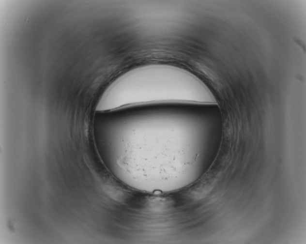 X0000096190315200801181014