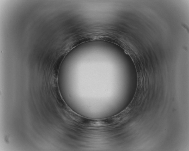 X0000096190316200801181014
