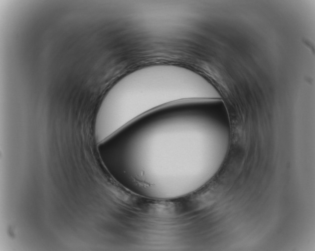 X0000096190317200801181014