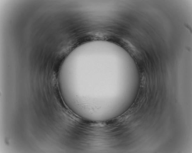 X0000096190318200801181014