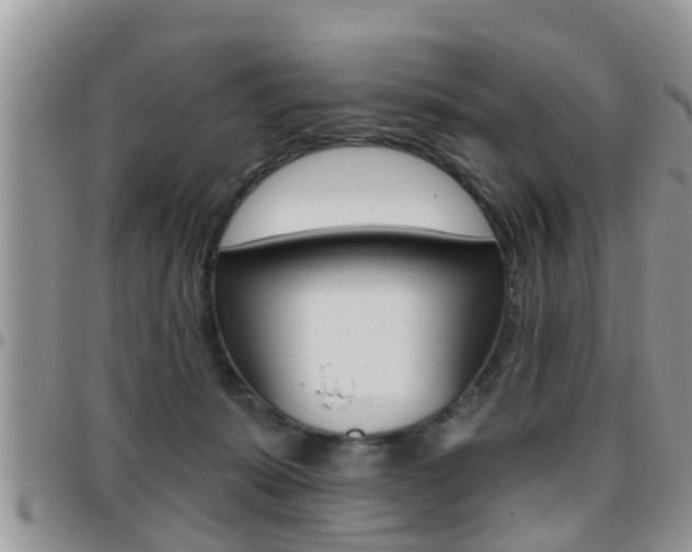 X0000096190319200801181014