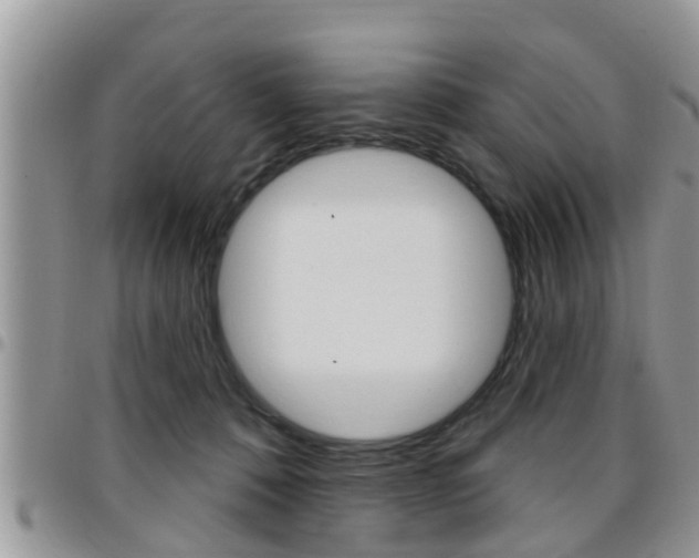 X0000096190320200801181014