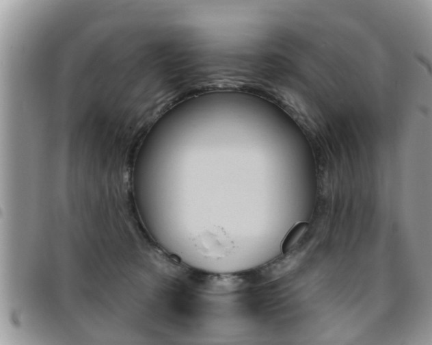 X0000096190321200801181014