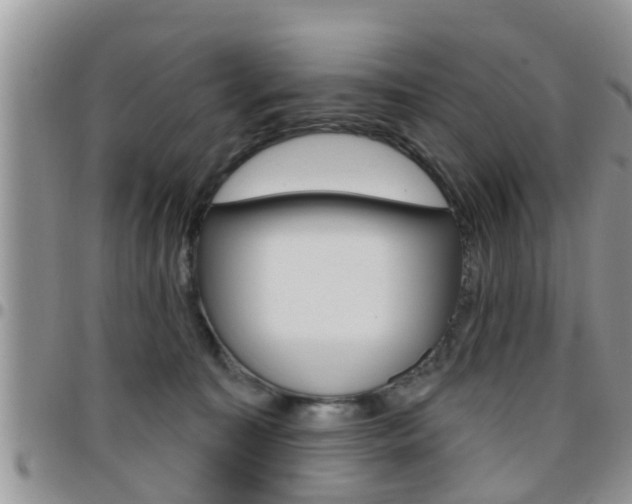 X0000096190323200801181014