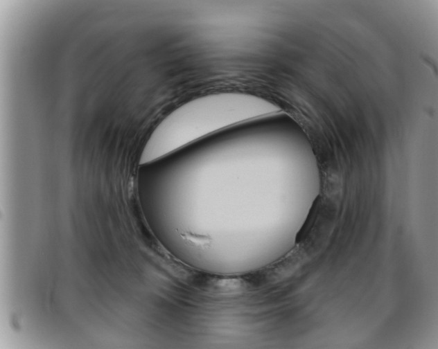 X0000096190324200801181014