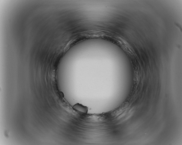 X0000096190326200801181014