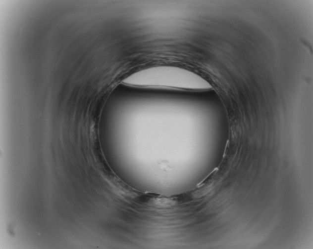 X0000096190327200801181014