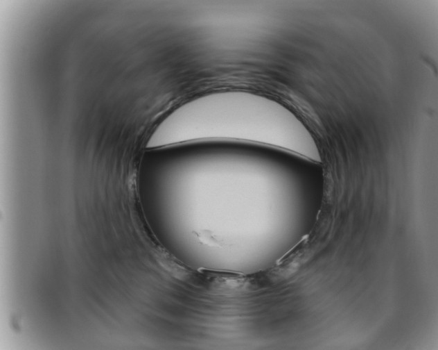 X0000096190329200801181014
