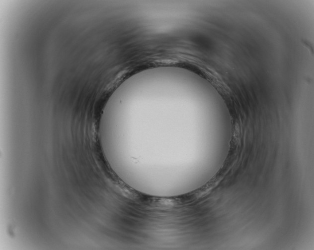 X0000096190330200801181014