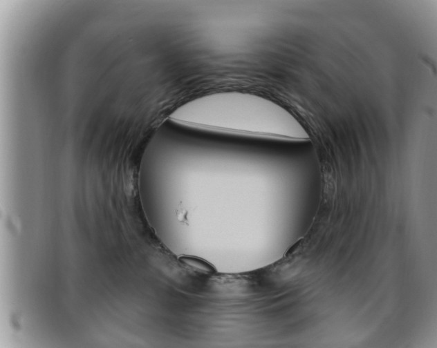 X0000096190331200801181014