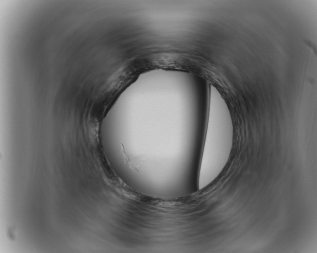 X0000096190332200801181014