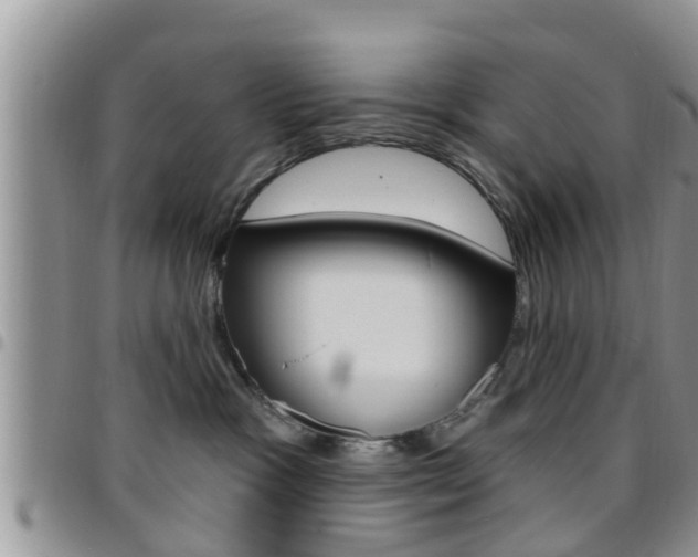 X0000096190333200801181014