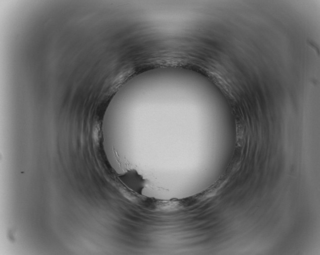 X0000096190334200801181014