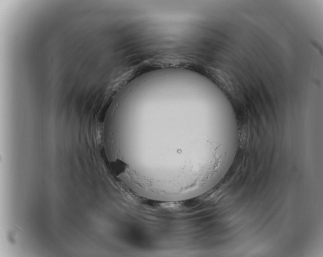 X0000096190335200801181014