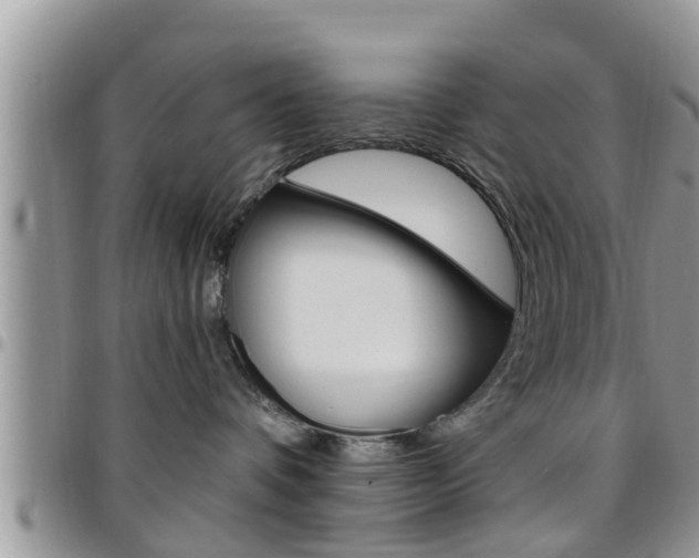 X0000096190336200801181014