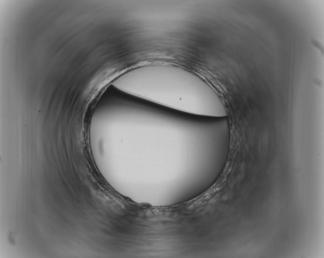 X0000096190338200801181013