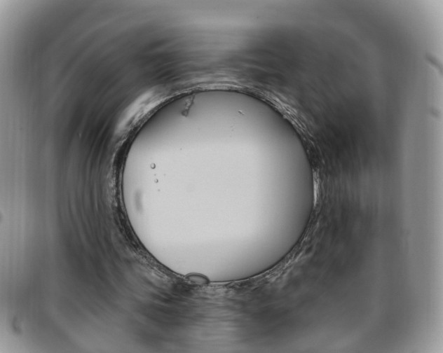 X0000096190339200801181013