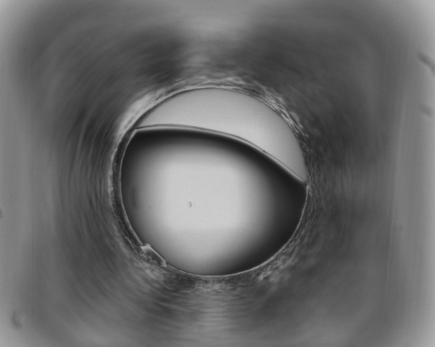 X0000096190340200801181013