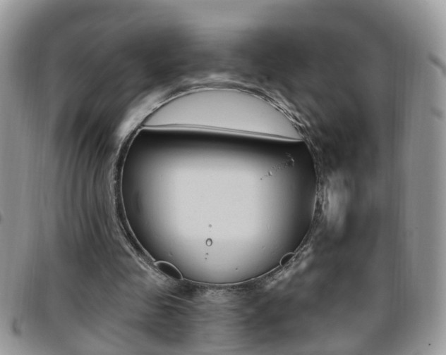 X0000096190341200801181013