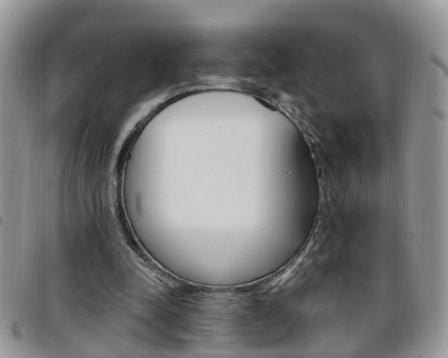 X0000096190342200801181013