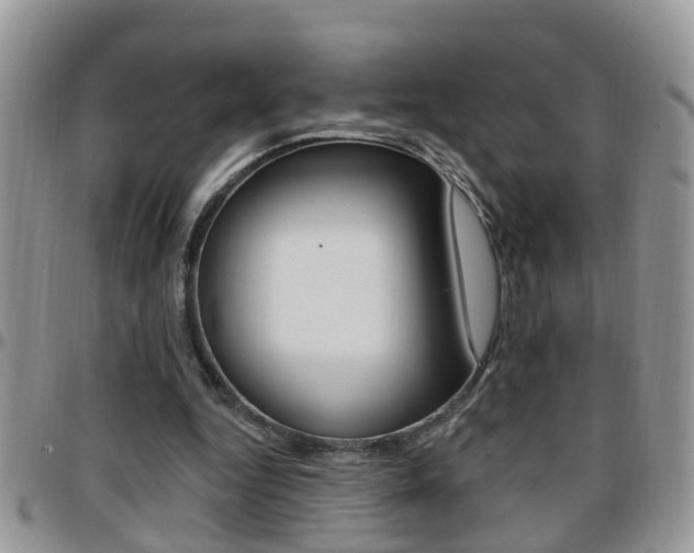 X0000096190344200801181013