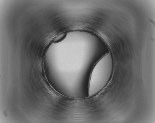 X0000096190345200801181013