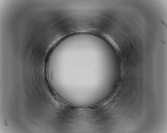 X0000096190346200801181013