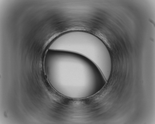 X0000096190348200801181013