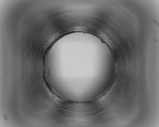X0000096190349200801181013