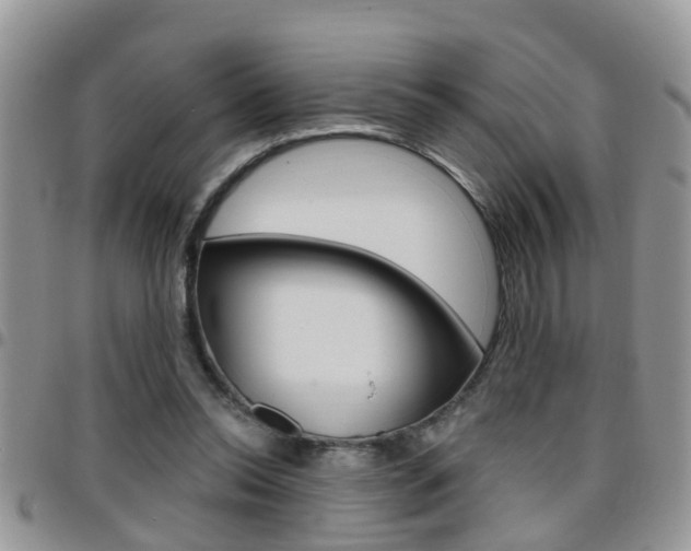 X0000096190350200801181013